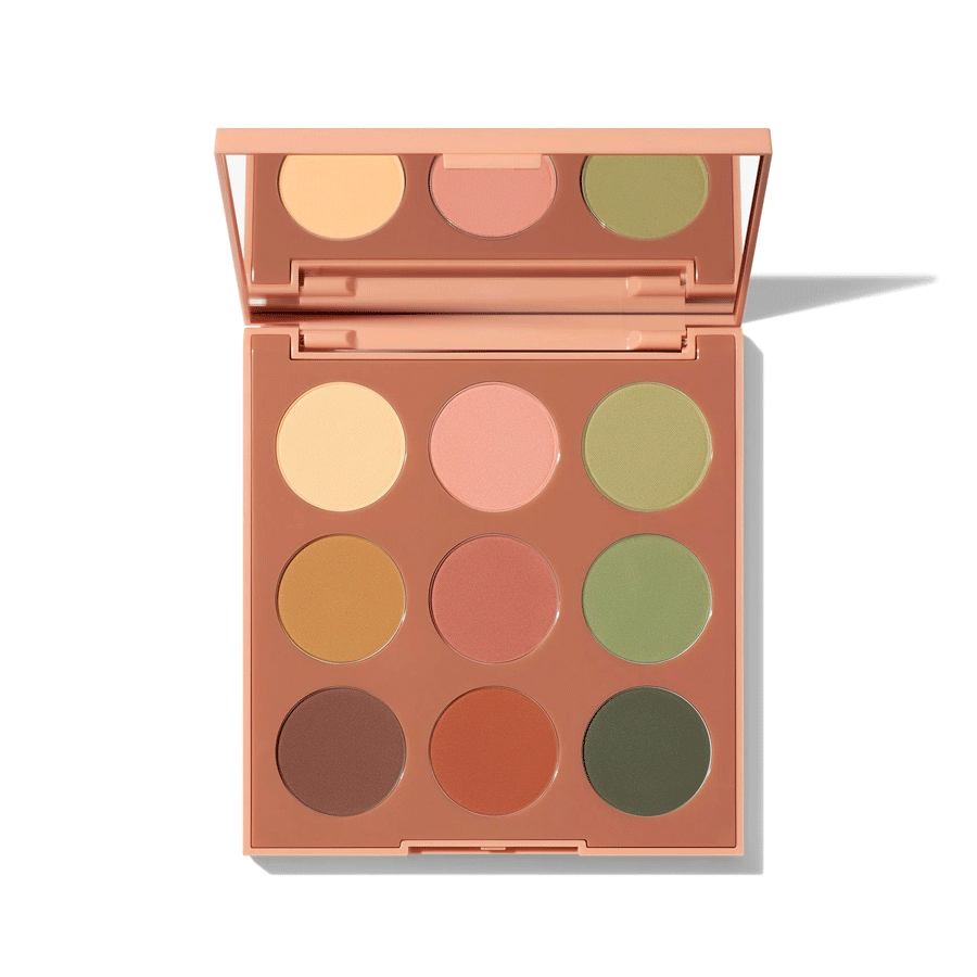 Morphe
          
          
        
      
   
    
 MORPHE 9B Matte Essentials Artistry Palette - Price