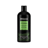 


      
      
        
        

        

          
          
          

          
            Hair
          

          
        
      

   

    
 TRESemmé Replenish & Cleanse Shampoo 680ml - Price