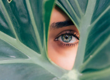 Eye Drops