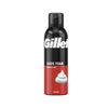 


      
      
      

   

    
 Gillette Classic Regular Shaving Foam 200ml - Price