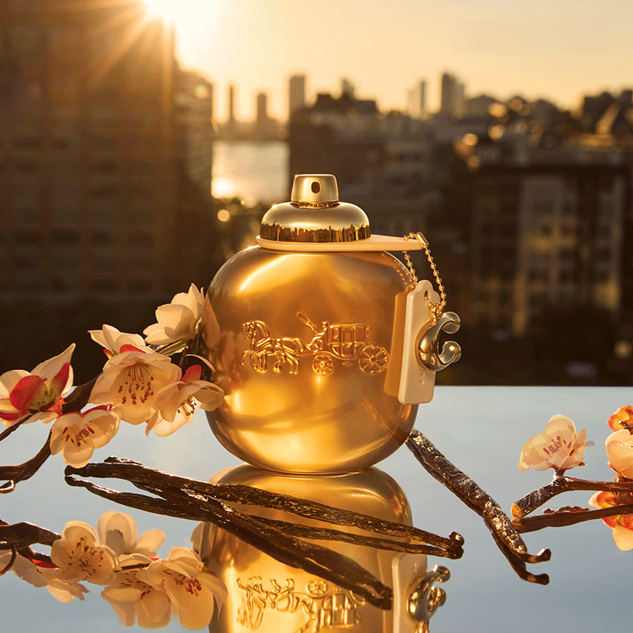 Coach Gold Eau de Parfum Gift Set 50ml