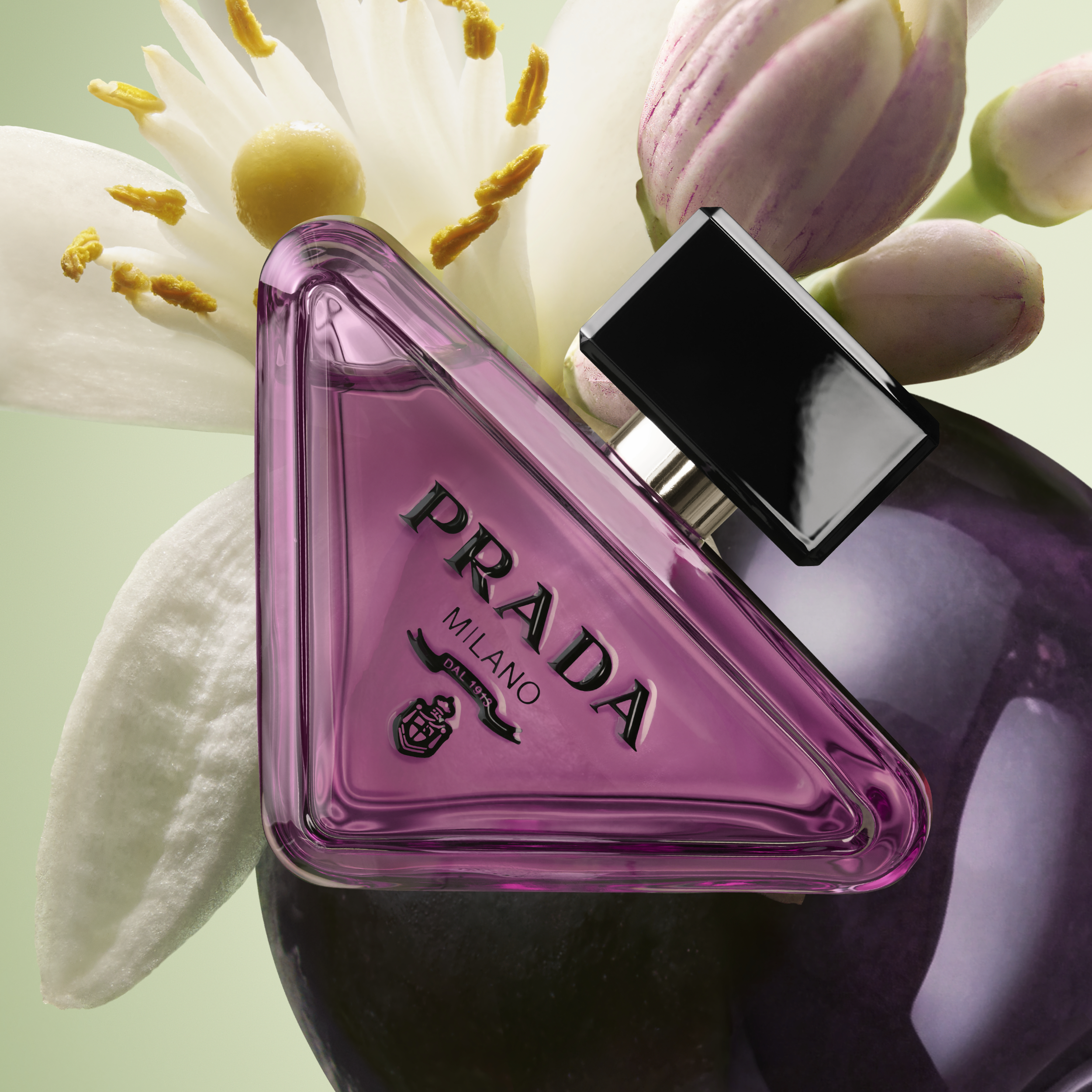 Prada Paradoxe Sweet Chemistry Eau de Parfum (Various Sizes)
