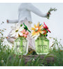 Marc Jacobs Daisy Wild Eau So Intense Eau de Parfum (Various Sizes)