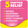 Pepto Bismol Liquid 240ml