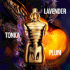 Jean Paul Gaultier Le Male Elixir Absolu 75ml