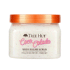 


      
      
      

   

    
 Tree Hut Coco Colada Shea Sugar Scrub 510g - Price