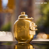 Coach Gold Eau De Parfum (Various Sizes)