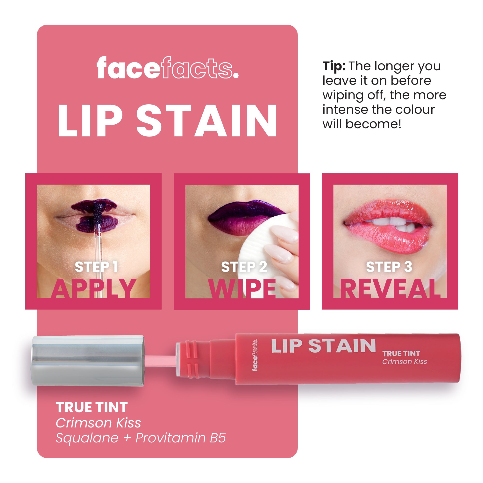 Face Facts Lip Stain (Various Shades)