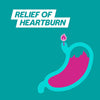 Gaviscon Heartburn & Indigestion Relief Peppermint Flavour (48 Pack)