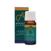 


      
      
        
        

        

          
          
          

          
            Health
          

          
        
      

   

    
 Absolute Aromas Lavender Oil 10ml - Price
