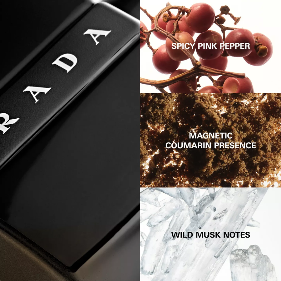 Prada Luna Rossa Black Eau de Parfum For Men 50ml