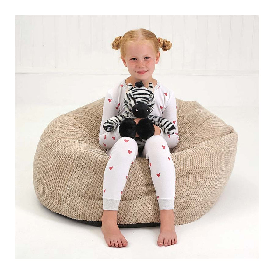 Aromahome Snuggable Hottie: Zebra