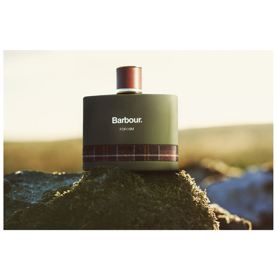 Dog Breeds German Shepherd And Bullmastiff Mix German Shepherd