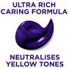 L'Oréal Paris Elvive Colour Protect Anti-Brassiness Purple Mask 250ml